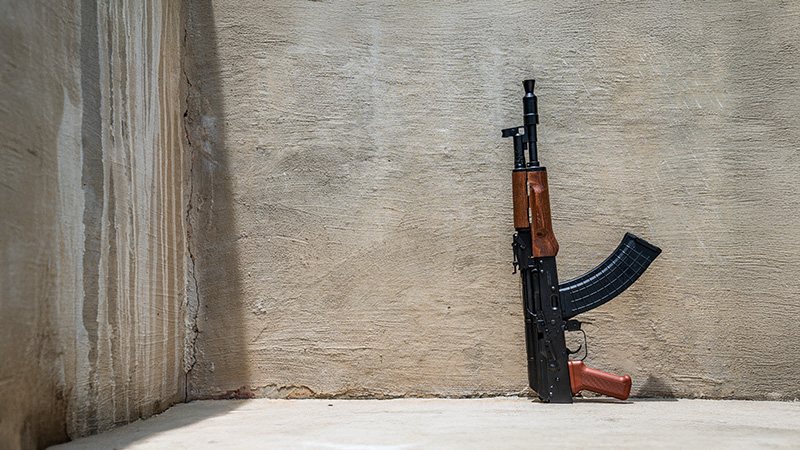 Pioneer Arms Wood Hellpup 7.62x39 AK Pistol