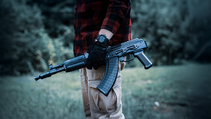 Pioneer Arms Hellpup Hero Image